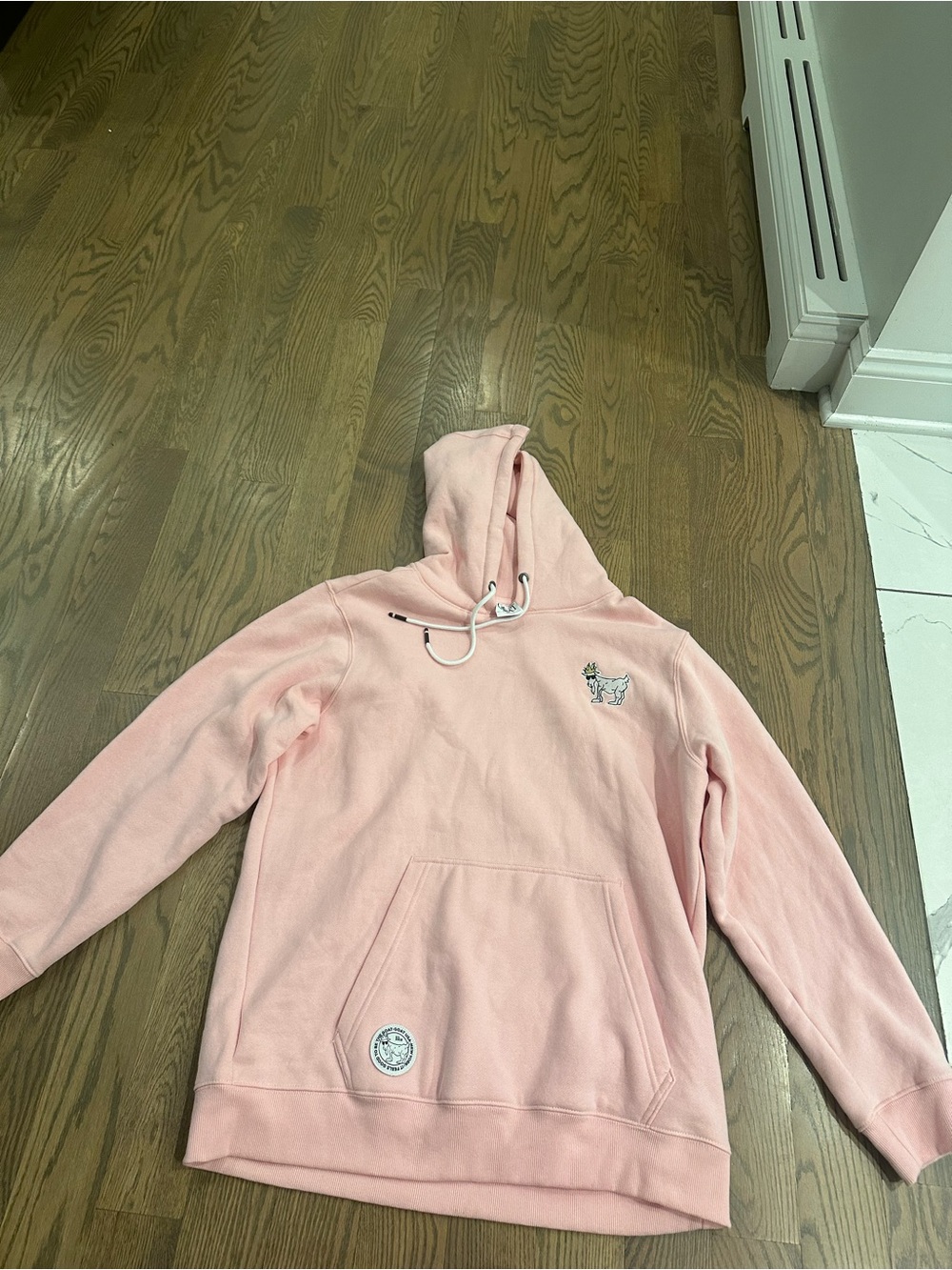 Women Pink Pullover Hoodie with Embroidered Dog Detail